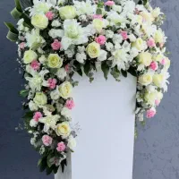 سفارش گل برای مطب دکتر و تبریک روز پزشک