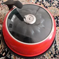 تنورک یا غذاساز پلین