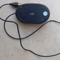 ماوس سیمی|قطعات و لوازم جانبی رایانه|شیراز, تلخ داش|دیوار