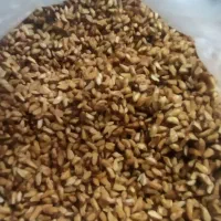 بادام شیرین درشت نرم گندم برشته تازه.ترشی انارشیمن|خوردنی و آشامیدنی|ایذه, |دیوار