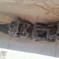 اکواریوم