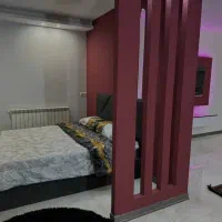 سوئیت مبله جکوزی دار|اجارهٔ کوتاهمدت آپارتمان و سوئیت|تهران, مرزداران|دیوار