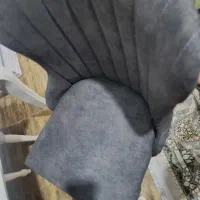 میز غذا خوری 6نفره|میز و صندلی غذاخوری|تنکمان, |دیوار