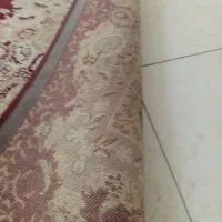 فرش 12و6متری جفت|فرش|پرند, فاز ۴|دیوار