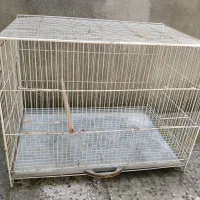 قفس پرنده