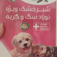 دوتا توله گربه
