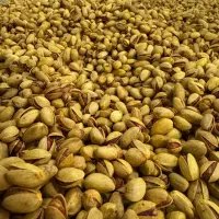 شورکاری تخمه وآجیل حرفه ای|عمدهفروشی|قرچک, شهرک صنعتی قرچک|دیوار