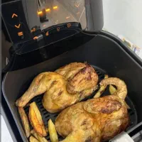 سرخ کن|اجاق گاز و لوازم برقی پختوپز|ایجرود, |دیوار