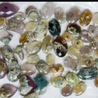 نگین انگشتری شجر .کلی