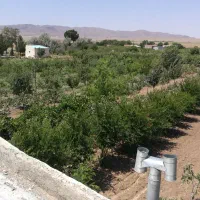 باغ فروشی|فروش خانه و ویلا|بوئین زهرا, |دیوار