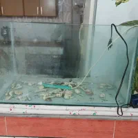 آکواریوم شیشه 6میل محکم با پمپ سالم