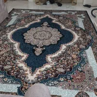 فرش ماشینی ۹متری|فرش|تهران, نیروی هوایی (پیروزی)|دیوار