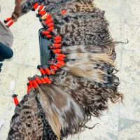 (فروش)خریدار تک ‌عمده موهای خام ورنگی