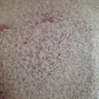 نیم دانه طارم هاشمی خالص