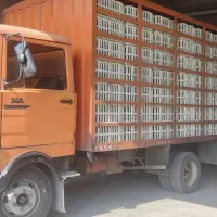 راننده پایه۲،دو