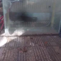 اکواریوم بزرگ