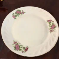 گلسرخی با قدمت بالای ۷۰ سال بدون لب پر بودن