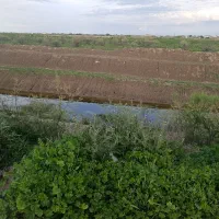 فروش-زمین-دامداری-یاباغ