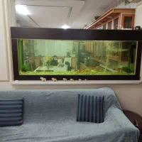 فروش اکواریوم