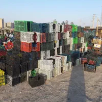 سبد زنده اسیابی|ظروف نگهدارنده، پلاستیکی، یک‌بارمصرف|اسلام‌شهر, مطهری|دیوار