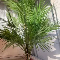 درختچه مصنوعی|گل مصنوعی|گرگان, |دیوار