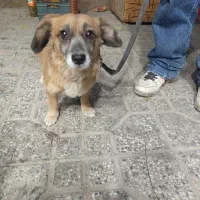 گم شده ...پیدا شده پیش منه