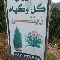 همه نوع گل و گیاه به قیمت جهادی وهمه نوع مرکبات