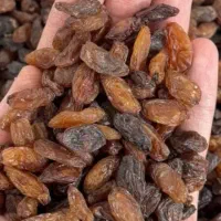 کشمش اعلا درجه آبگیری