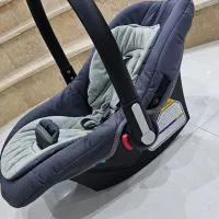 کالسکه و کریر دلیجان نو|کالسکه و لوازم جانبی|تهران, باغ خزانه|دیوار