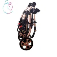 کالسکه|کالسکه و لوازم جانبی|همدان, |دیوار