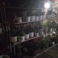 پایه چوبی و اهنی
