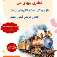 کارگاه پرخاشگری