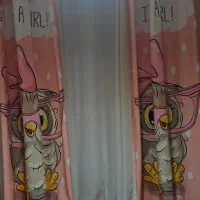 پرده جغد دختر