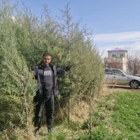 فرصت خرید برای همدانی ها