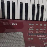 گروه ارگ