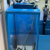 اکواریوم|ماهی|تهران, پاسداران|دیوار