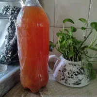 سرکه سیب