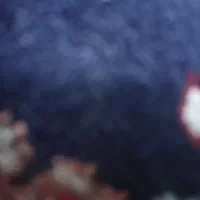 تعداد مدار گم شده