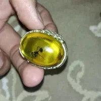 تعدادی انگشتر|کلکسیون اشیاء عتیقه|زاهدان, |دیوار