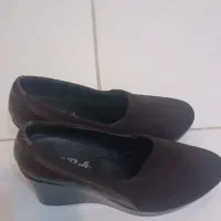 کفش زنانه|کیف، کفش، کمربند|پرند, فاز ۶|دیوار