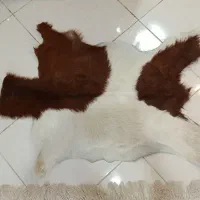 فرشینه پوست