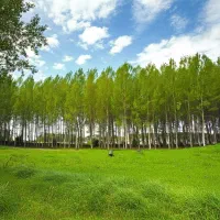 جشنواره بزرگ فروش کبوده سرمایه‌ای برای آینده