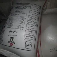 کود ریز شیراز