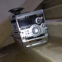 ضبط