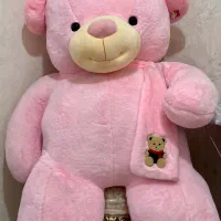 خرس ولنتاین