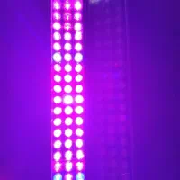 لامپ ال ای دی رشد گیاه|لامپ و چراغ|لنگرود, |دیوار