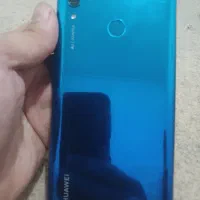 y7 prime