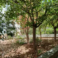 دیباجی شمالی ۱۸۰ متر سه خوابه دو پارکینگ|اجارهٔ آپارتمان|تهران, فرمانیه|دیوار