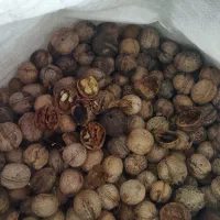 گردو کاغذی امسال کاملاً خشک خوش طعم|خوردنی و آشامیدنی|شاهین دژ, |دیوار