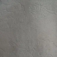 دو تا موکت تمیز تمیز